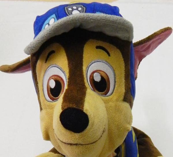 Hund von Wildrepublik (3199)